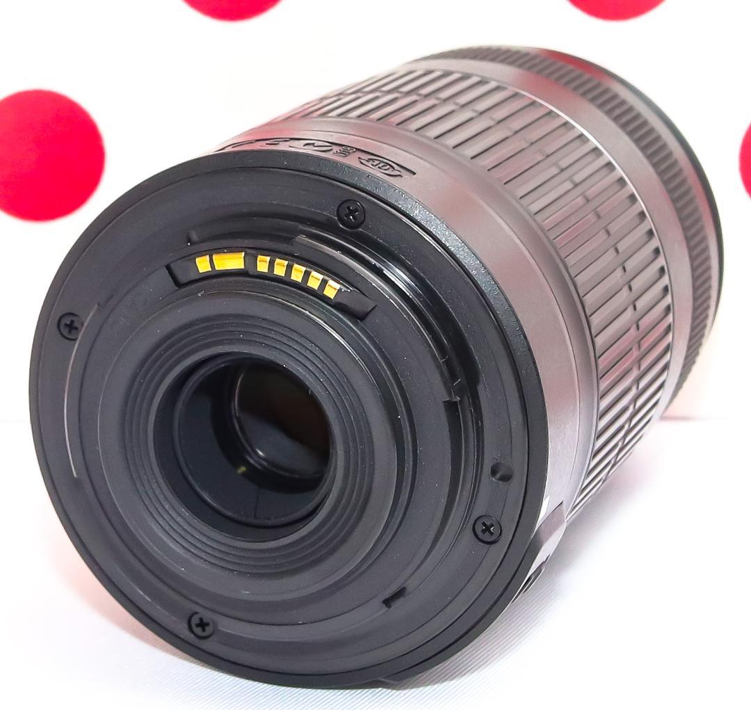 キャノン Canon EF-S 55-250mm IS II❤安心の手振れ補正付