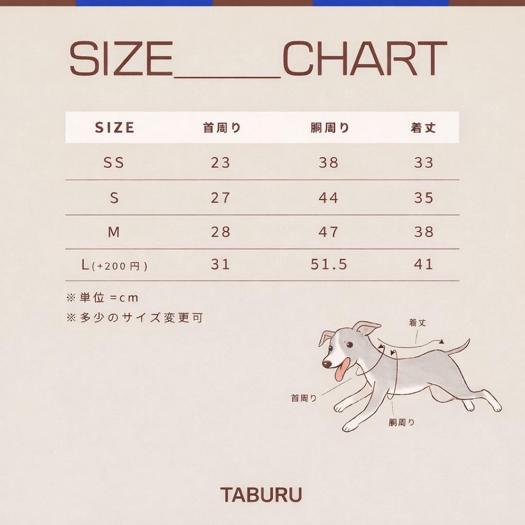 サイズ表