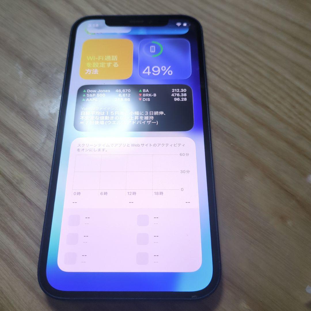 Apple iPhone 12 本体