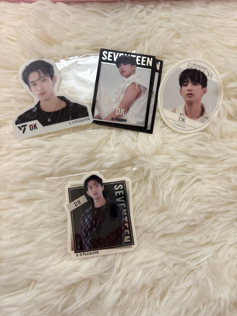SEVENTEEN セブチ ドギョム DK トレカ まとめ売り バインダー付き