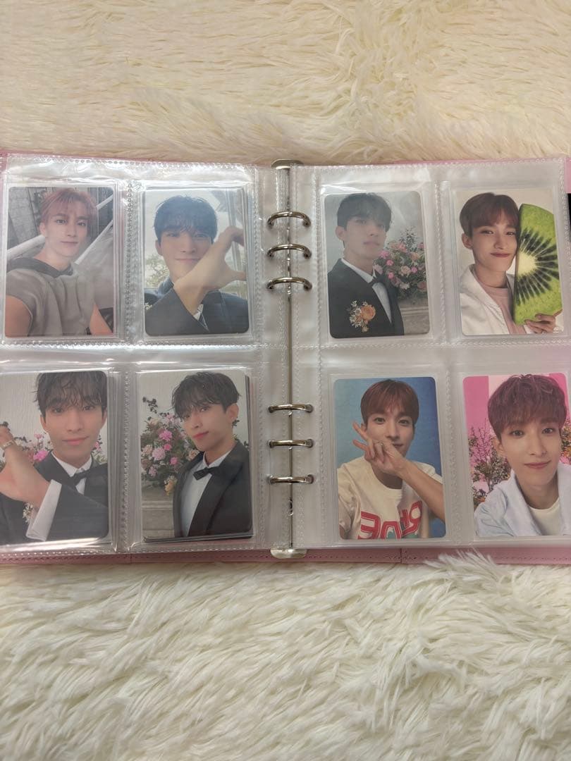 SEVENTEEN セブチ ドギョム DK トレカ まとめ売り バインダー付き