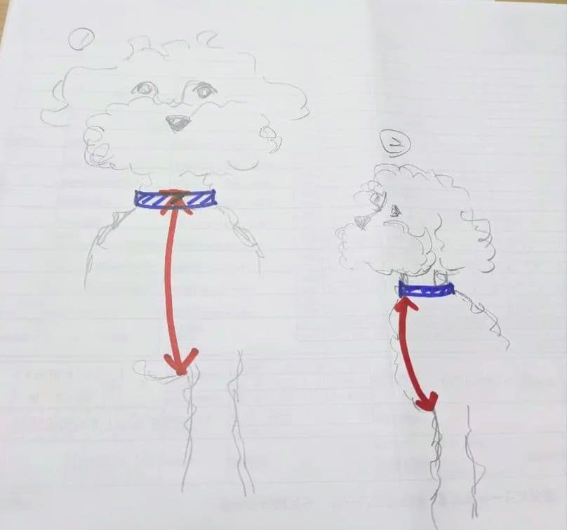 ご覧の皆様へ　採寸について少し…