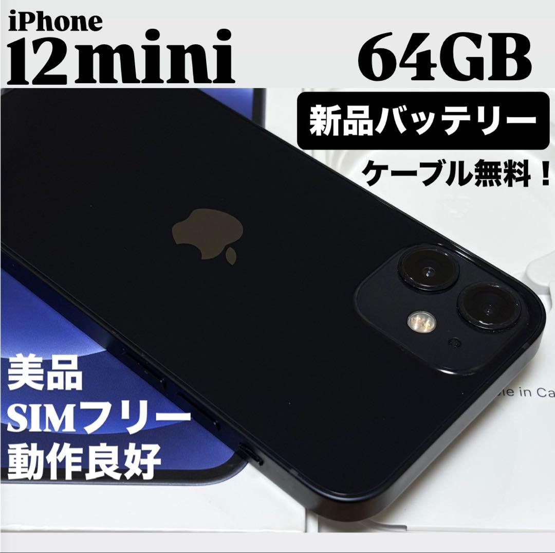 【美品】iPhone 12 mini 64GB ブラック　SIMフリー　動作良好