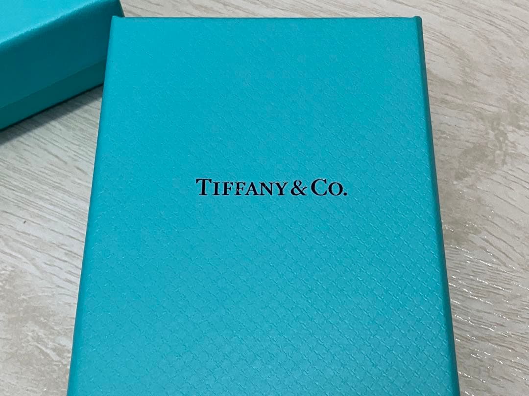 Tiffany & Co. アクセサリー空箱10個セット　現行品