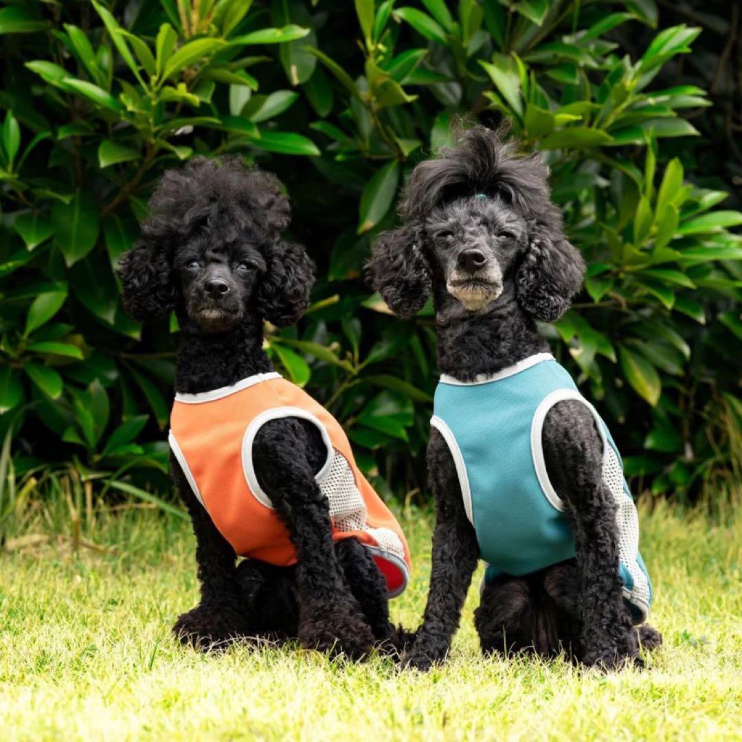 ✴︎新品未使用✴︎アルファアイコン サマークーリングタンクトップ 1XL 冷感 UV