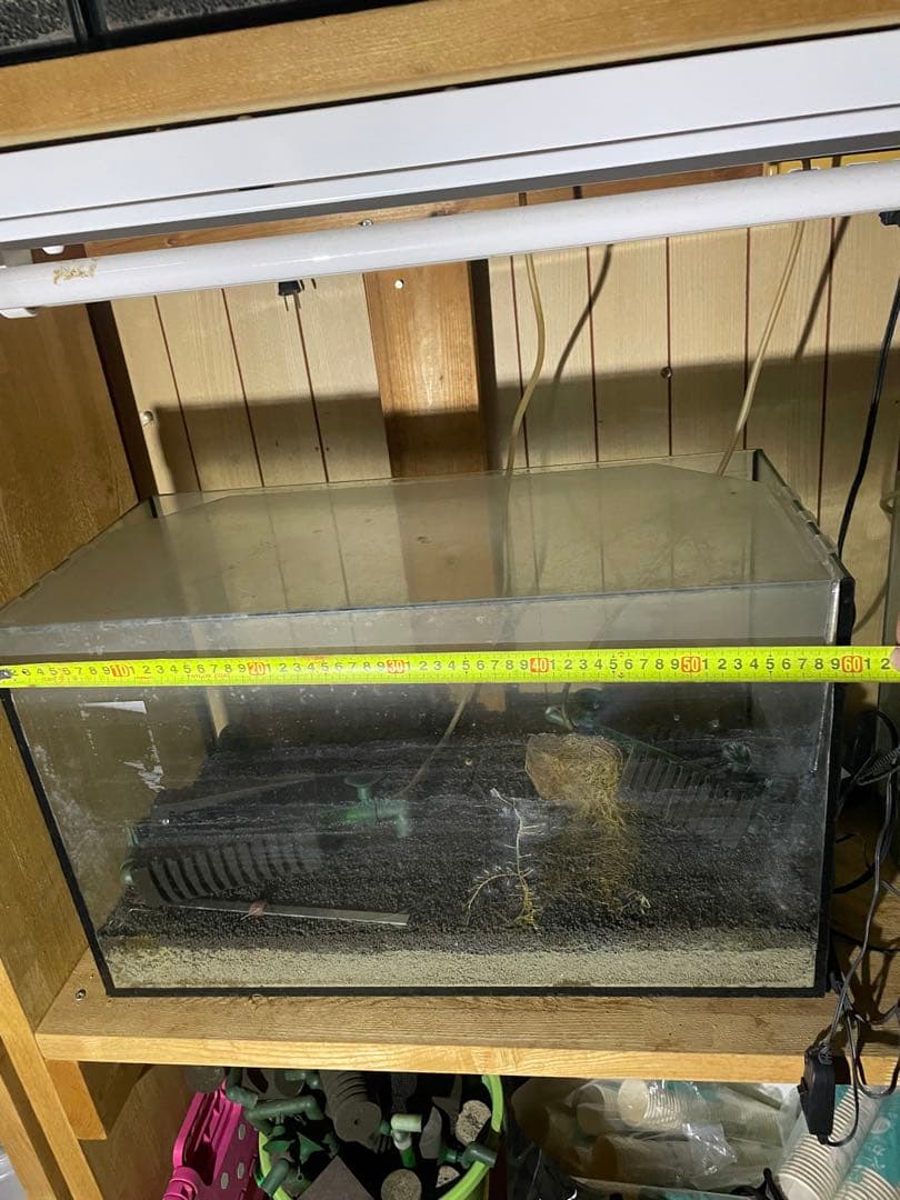 水槽用木製棚と小型水槽セット。シュリンプ育成用