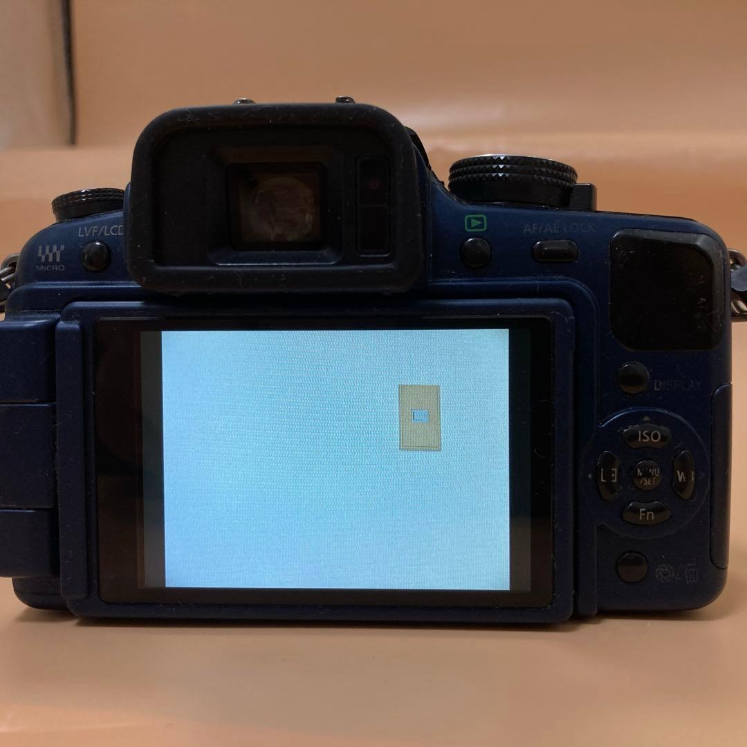 ★スマホ転送ok★パナソニック　LUMIX DMC-G1 SDカード付き