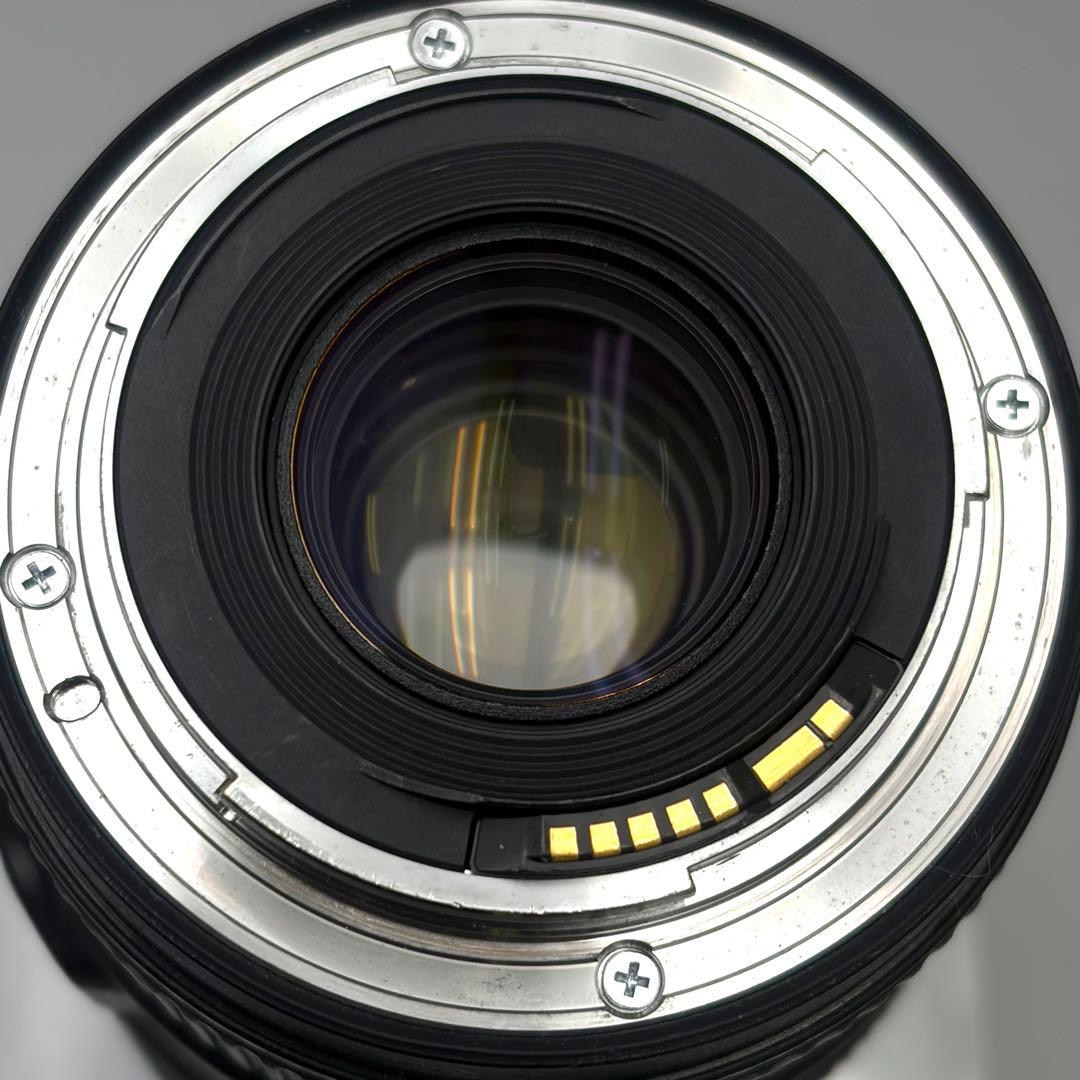 Canon EF16-35mm F4L IS USM 元箱付 Zeta付