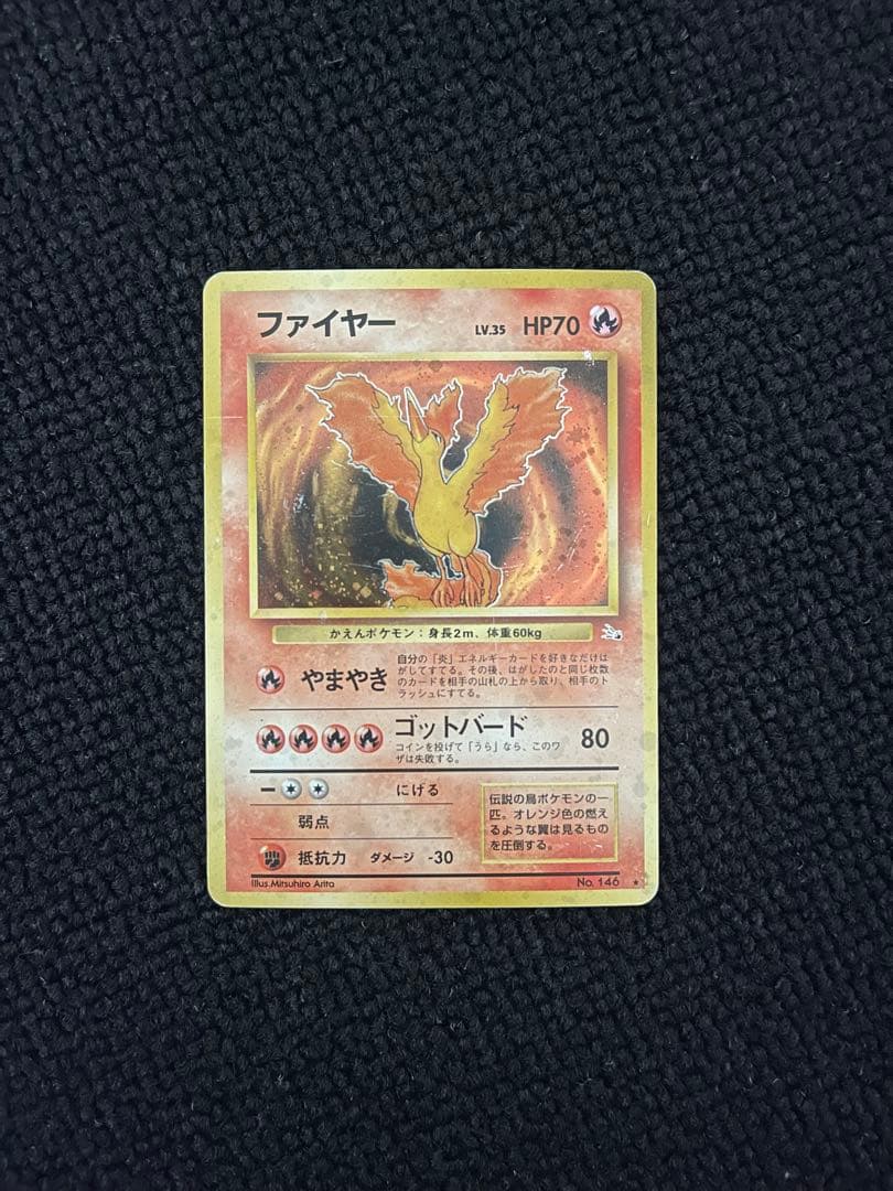 【防湿庫保管】旧裏 3鳥セット（化石の秘密）★うずまきサンダー入り
