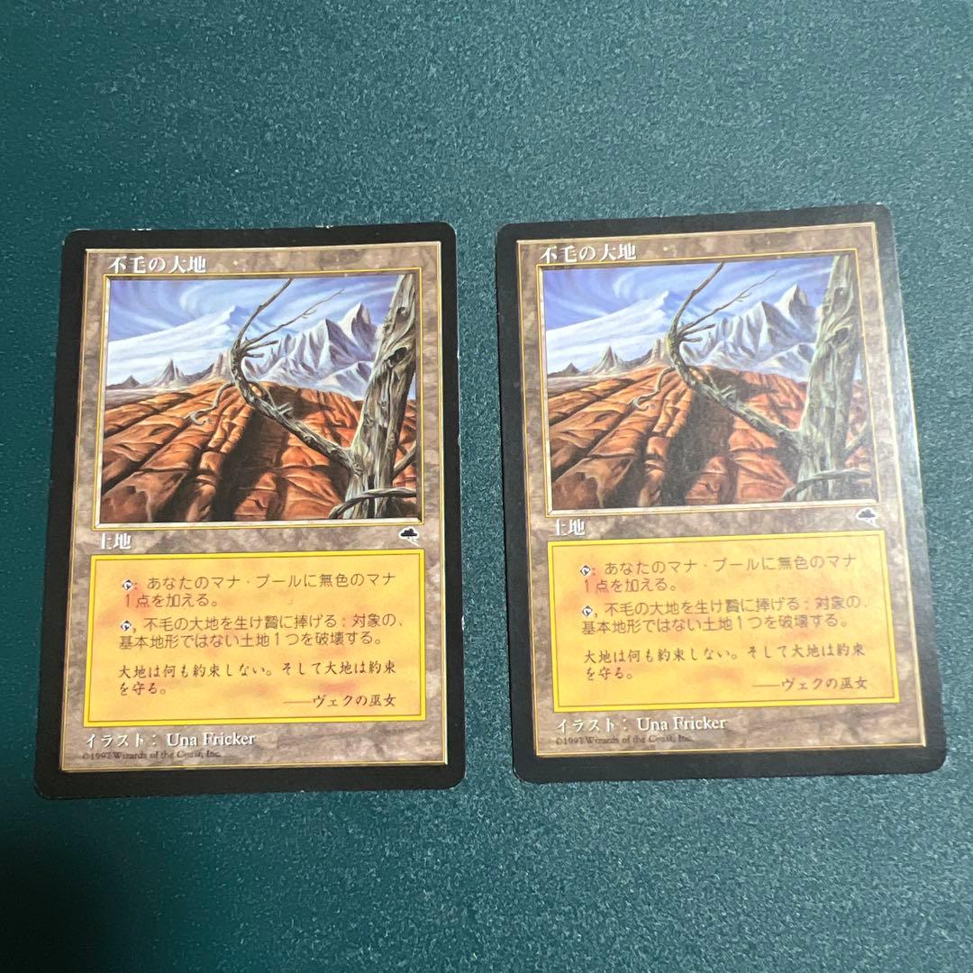 MTG 不毛の大地 日本語 2枚 テンペスト