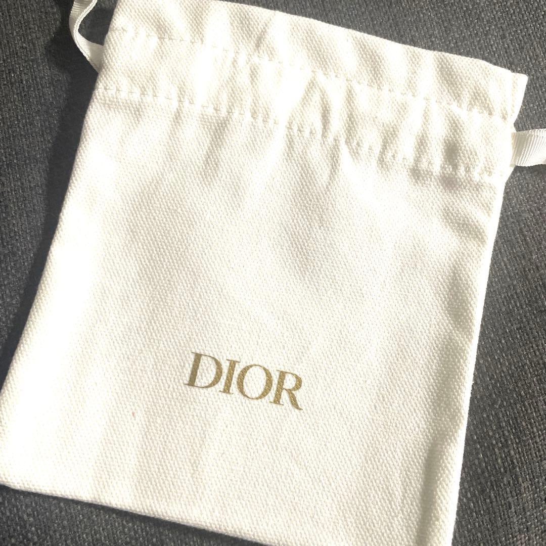 新品　DIOR ディオール シークイン 人気　520 ホリデー　完売　巾着