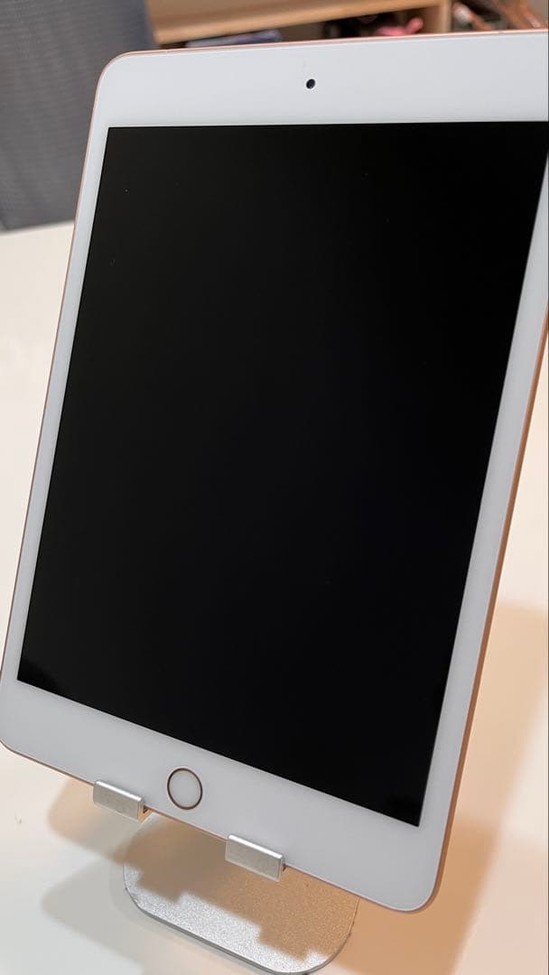 Apple iPad mini 5 64GB バッテリー96%