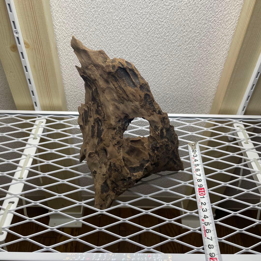極上　スラウェシウッド　塊状流木　穴あき