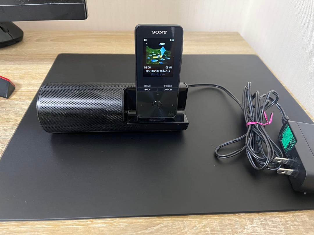 ウォークマン　sony NW S313