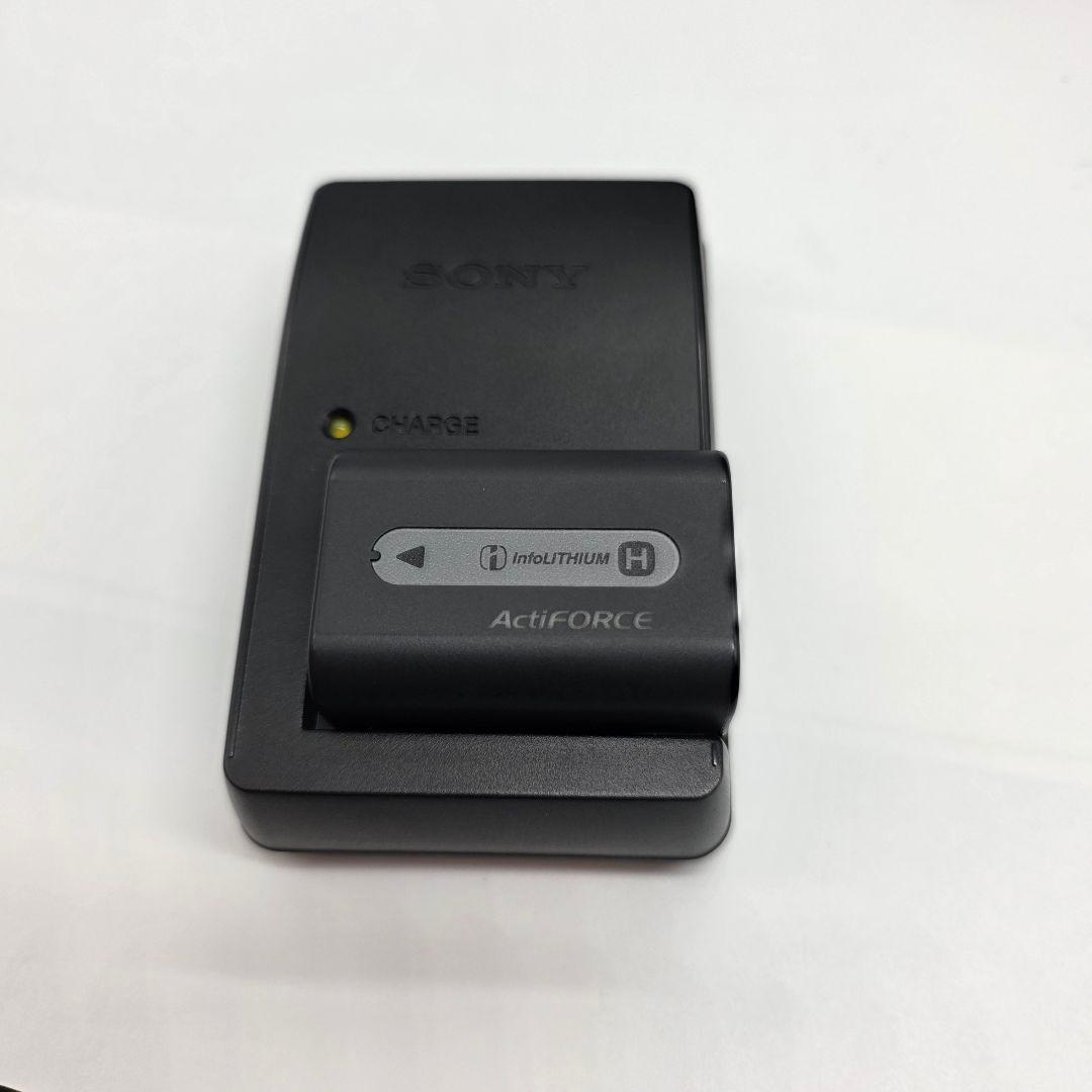 付属品多数 動作保証 SONY ソニー Cyber-shot DSC-HX1
