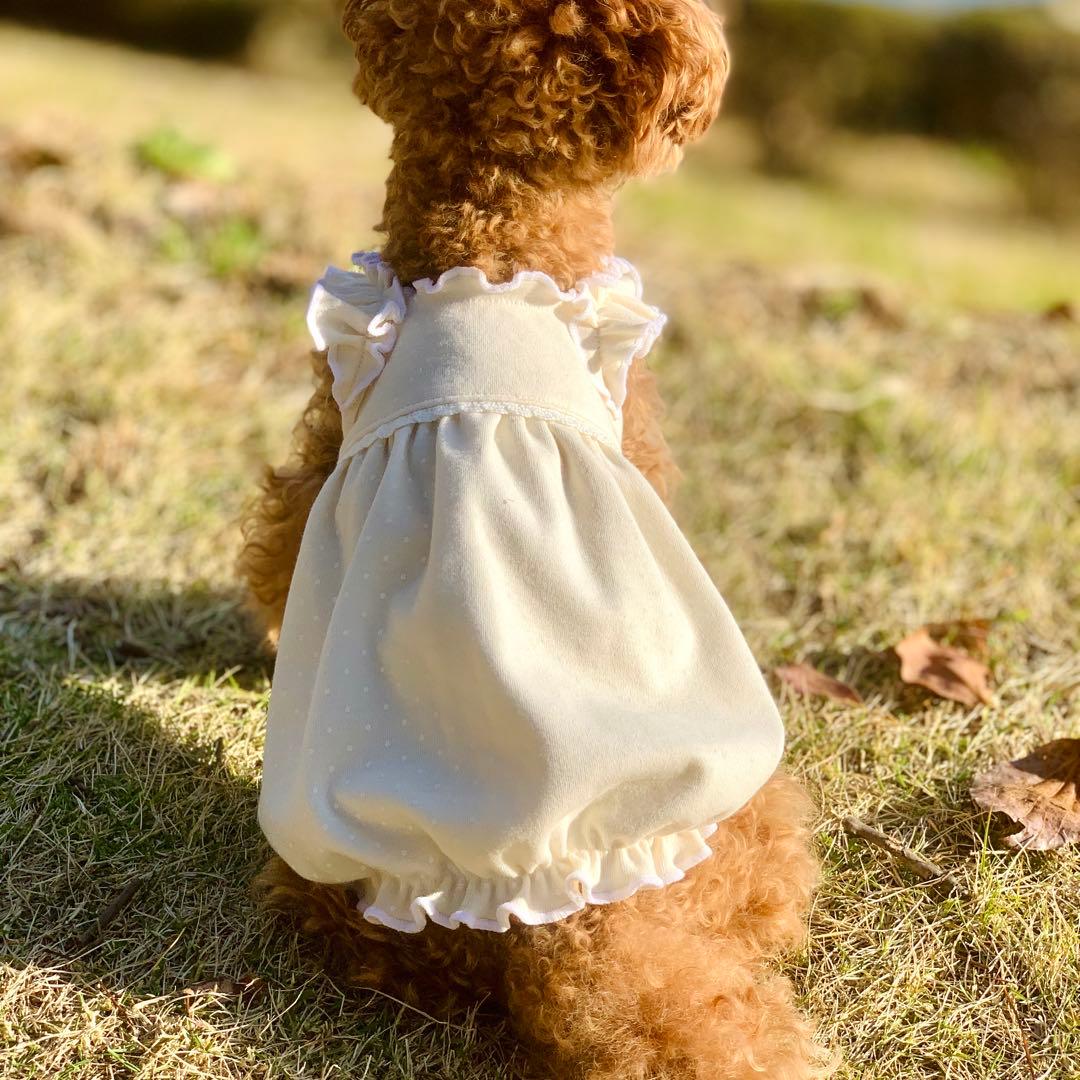No.35 ハンドメイド犬服 ドットスムースのキャミバルーンワンピ