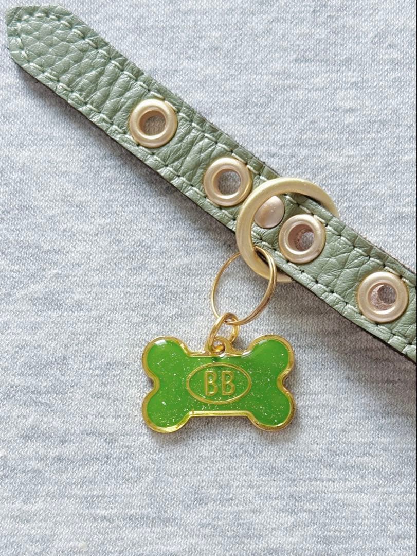 海外限定 Buddy belts バディーベルト セージ SAGE 2.5