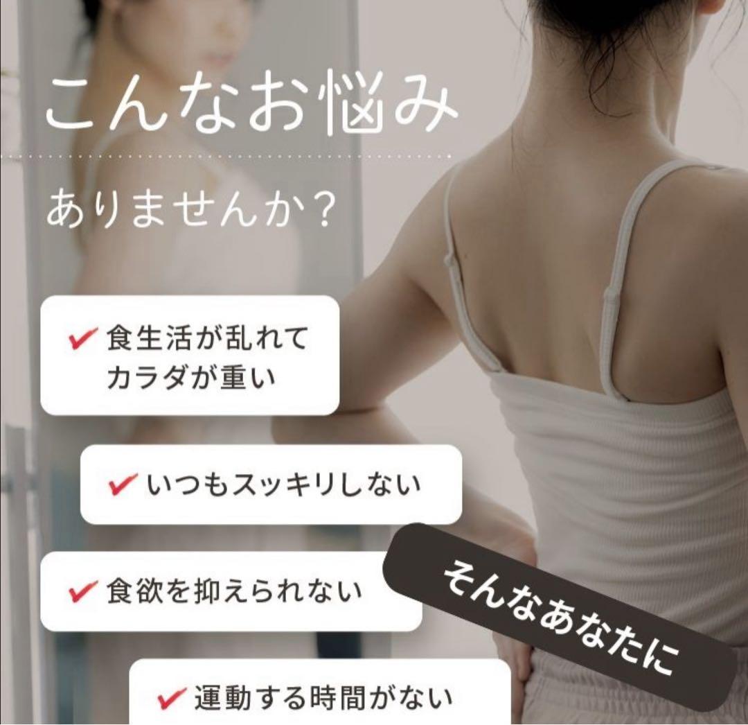 ☺️短期集中型でカンタン❣️ファスティングセット1DAY RESET ガイド付