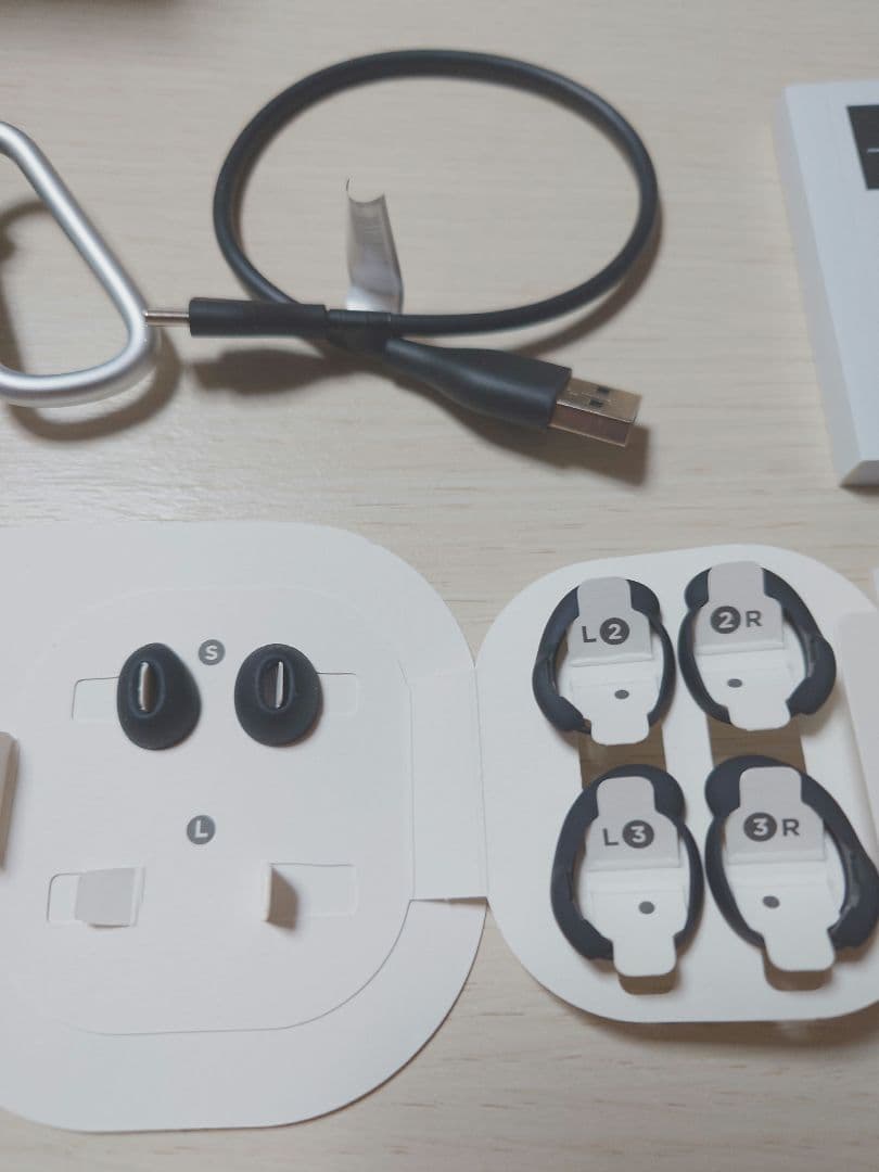 Bose QuietComfort® Earbuds II　使用品