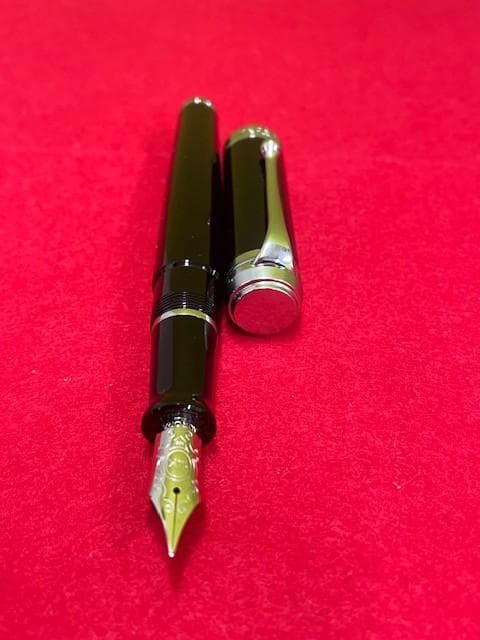 未使用品 アウロラ万年筆 タレンタム ブラック 14k EF 即日配送