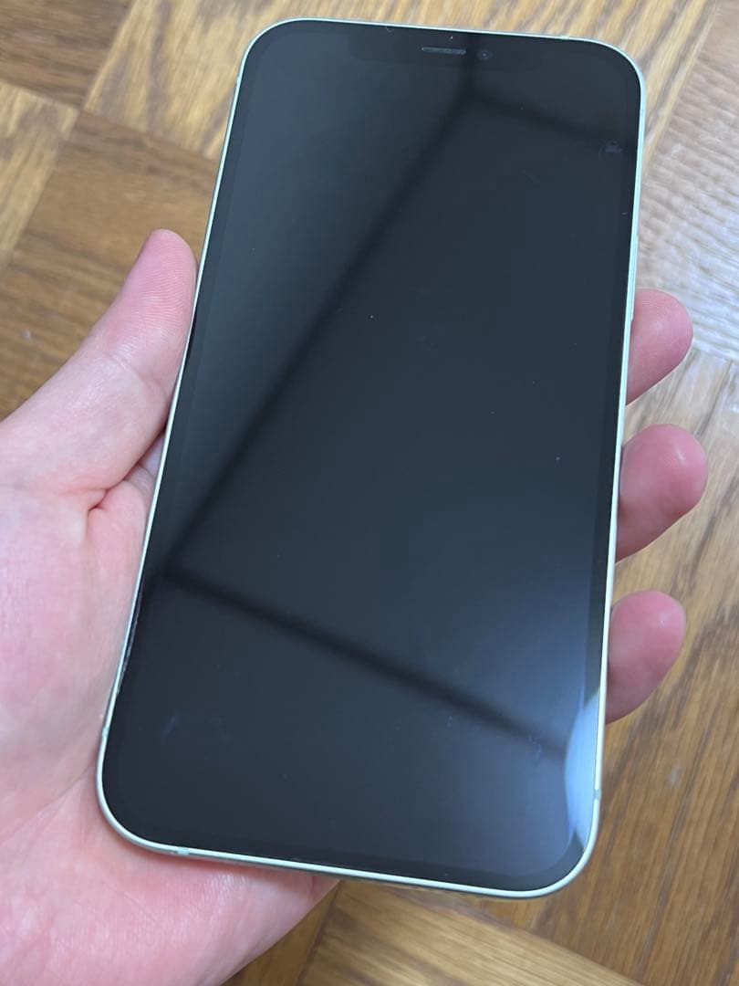Apple iPhone 12 64GB ミントグリーン