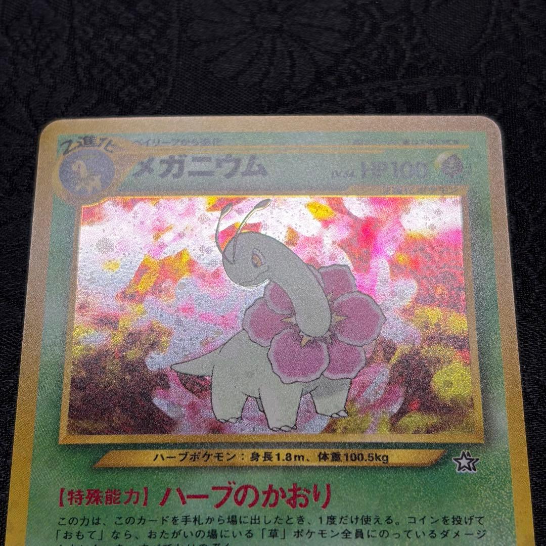 【希少】ポケモンカード ネオ プレミアムファイル 金・銀　旧裏
