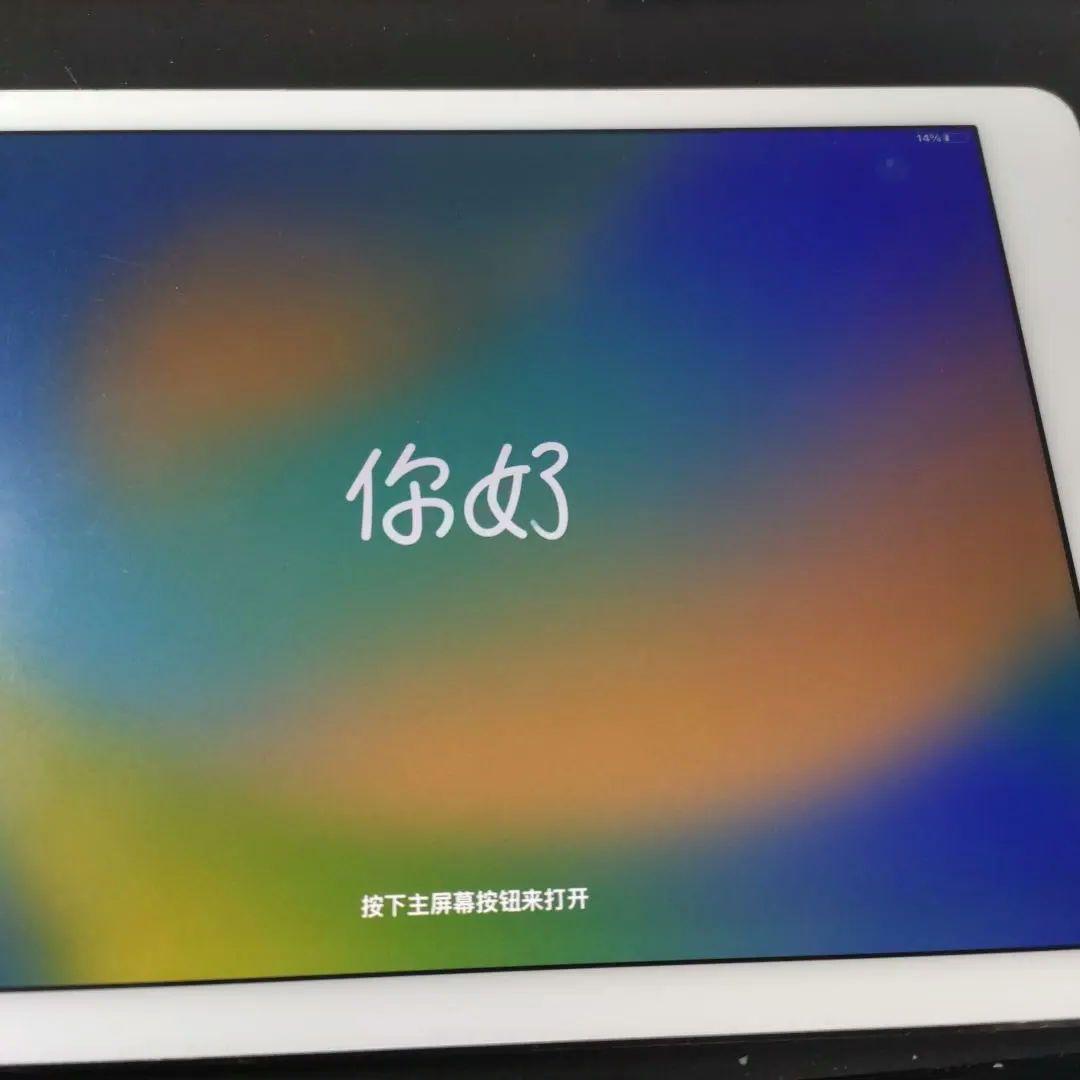 iPad Pro（第1世代）9.7インチ