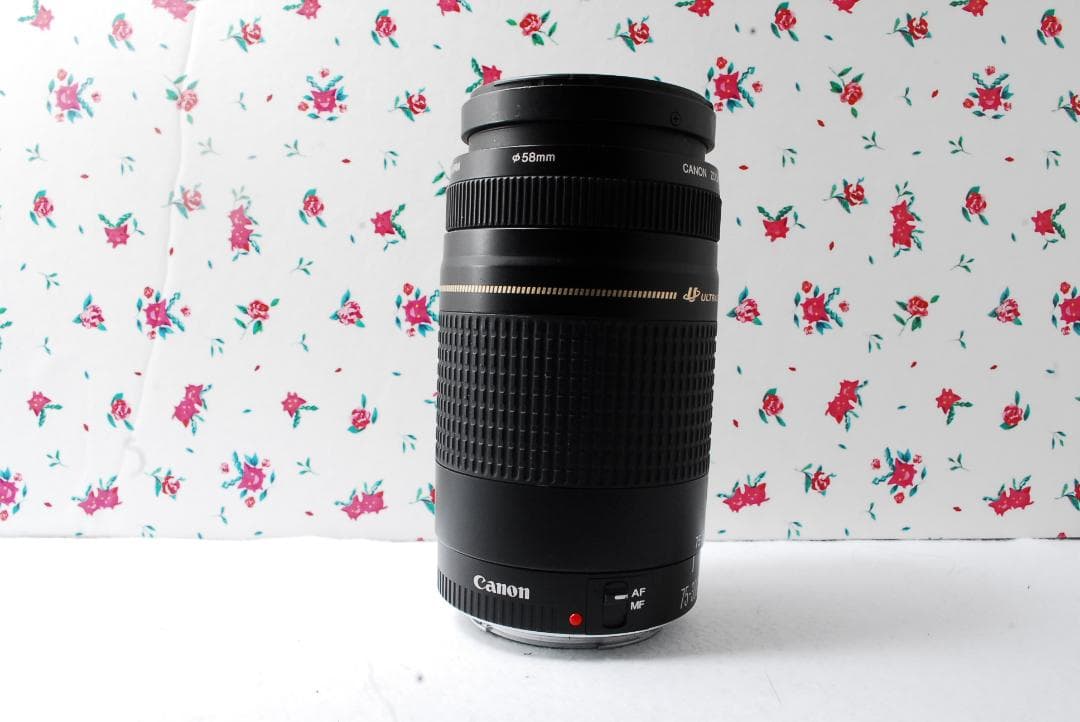 ❤️Canon用❤️75-300mm❤️超望遠❤️ズームレンズ ❤️キャノン