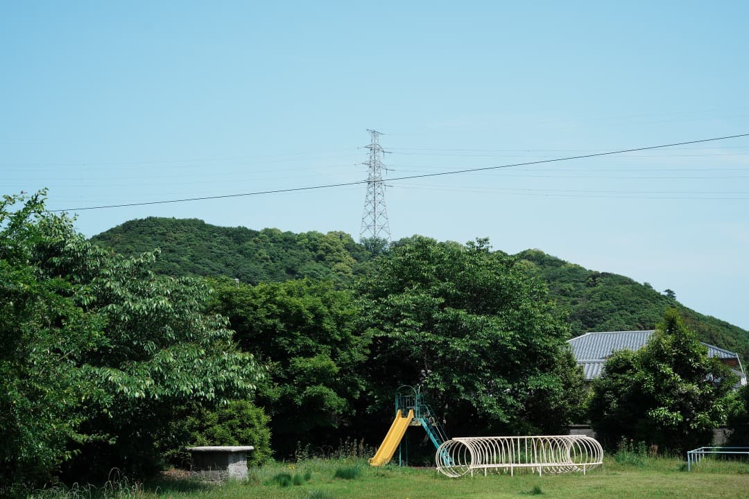 【未使用級】動作◎ SONY FE 50mm F1.8 単焦点 大きなボケ 80