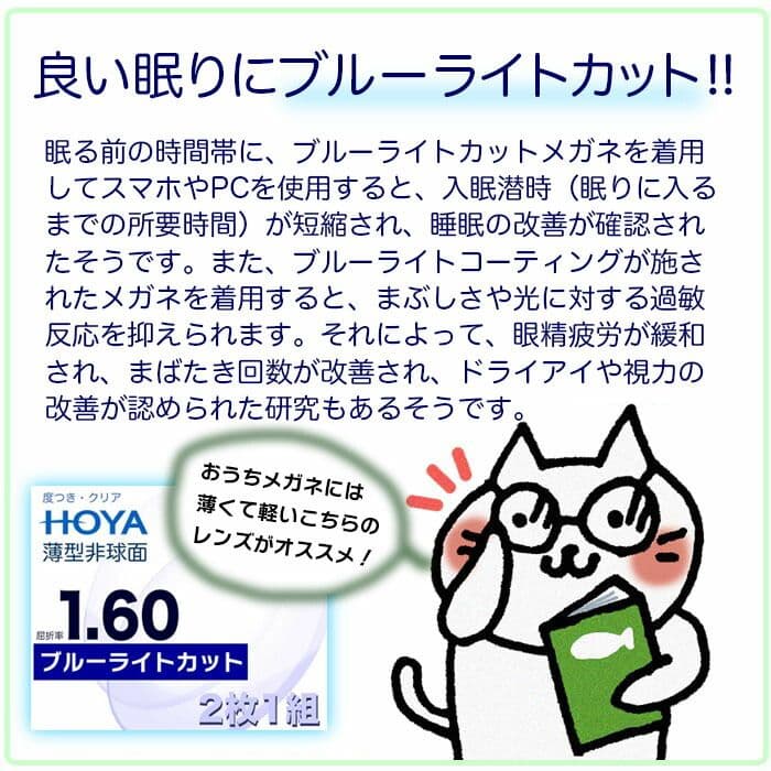 Psycho Bunny メガネ(度あり) クリップサングラス付き