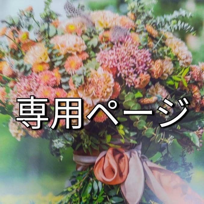 ナオ/3