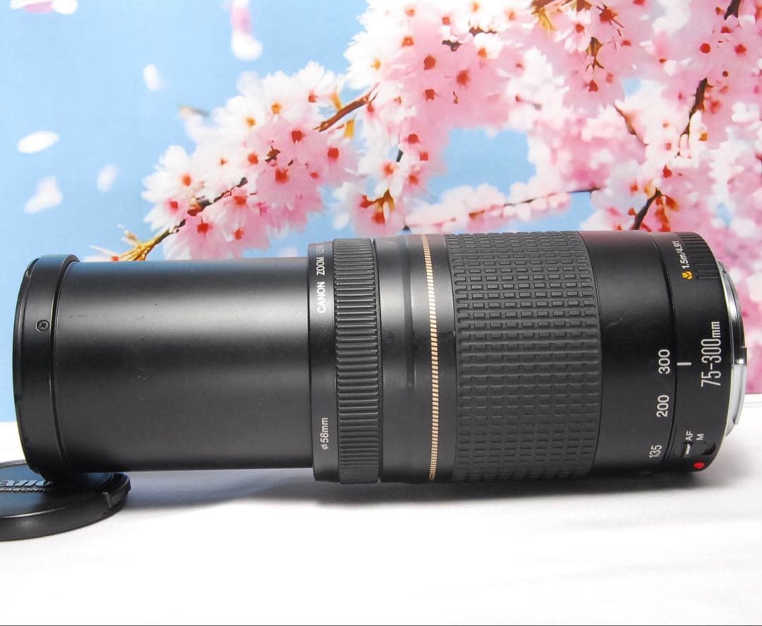 美品❤️ Canon ZOOM LENS EF 75-300mm f4-5.6 Ⅱ