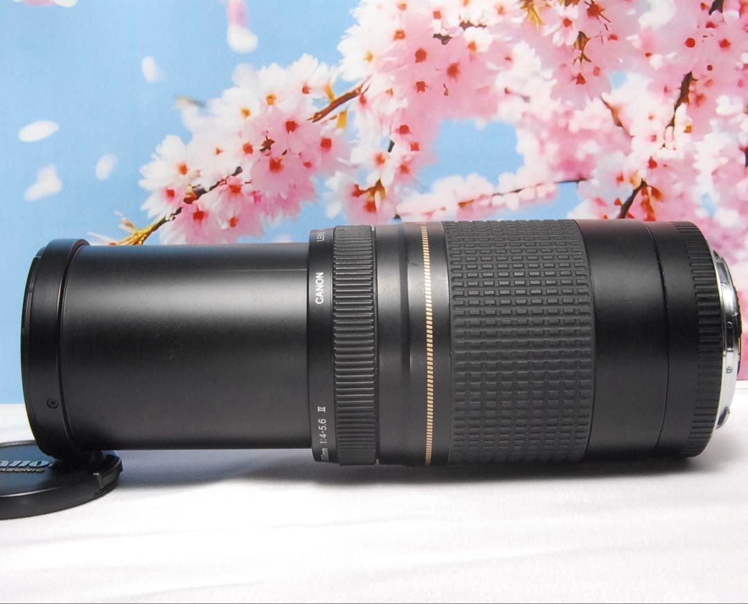 美品❤️ Canon ZOOM LENS EF 75-300mm f4-5.6 Ⅱ