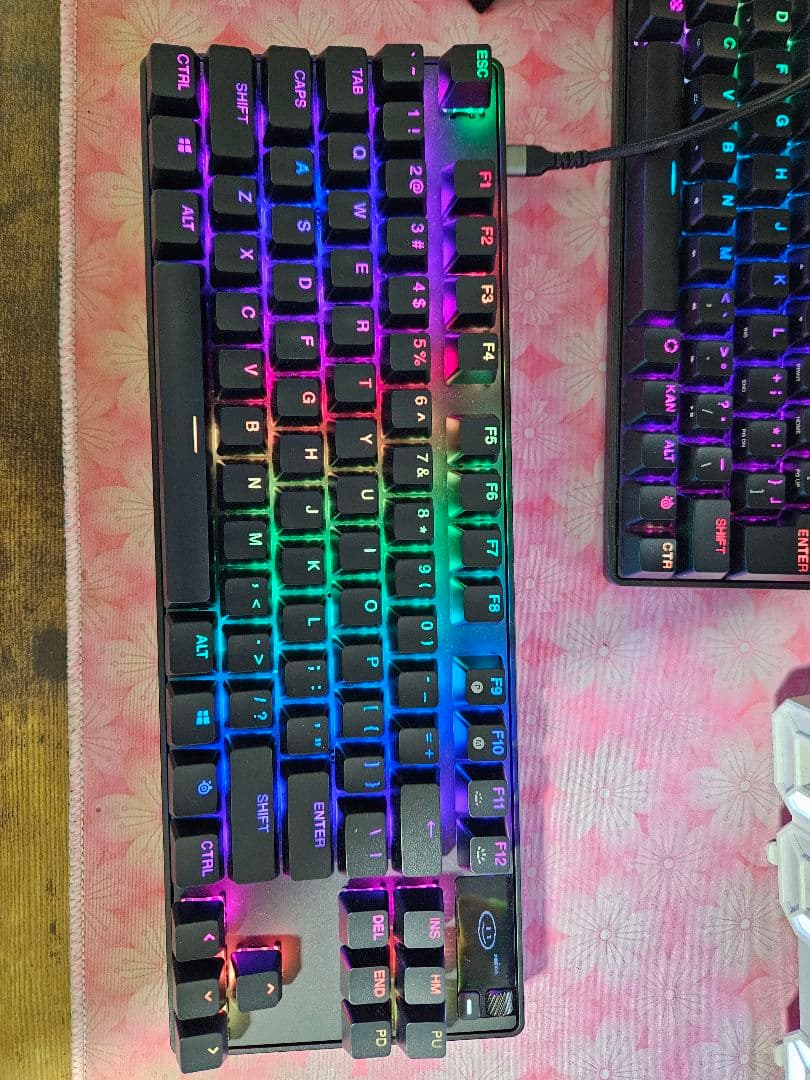 SteelSeries Apex Pro TKL Wireless 本体