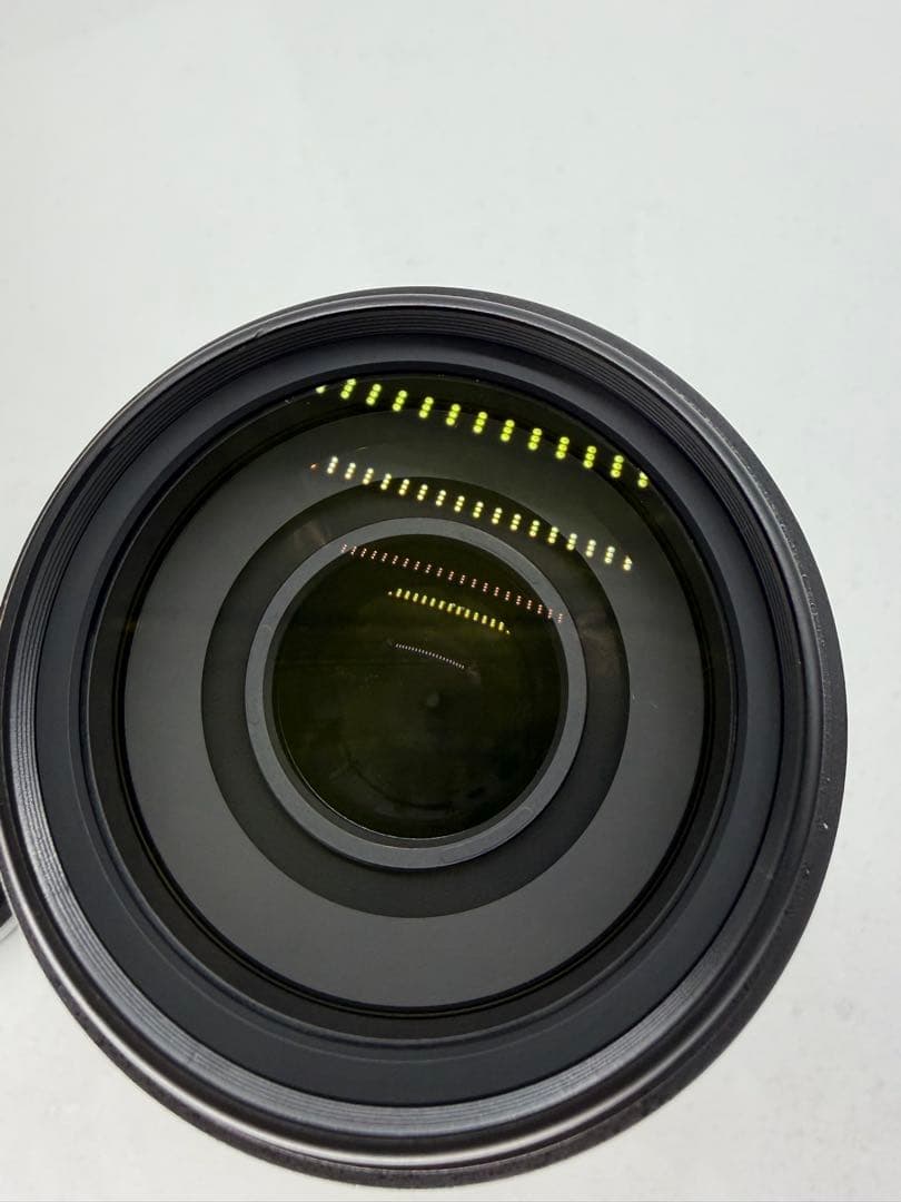 極美品Nikon AF-S 55-300mm 4.5-5.6 G ED #258