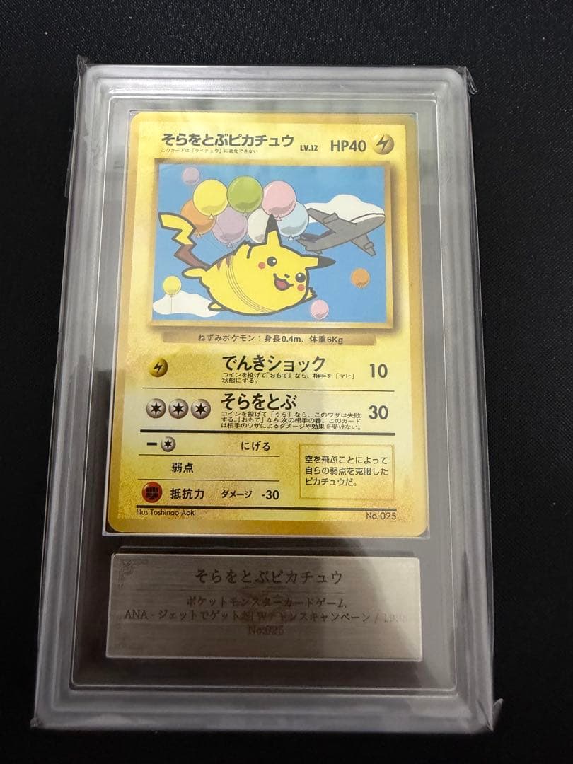 そらをとぶ ピカチュウ カイリュー ANA ARS10セット