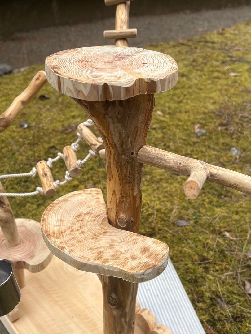 ハンドメイド　バードジム・バードアスレチック