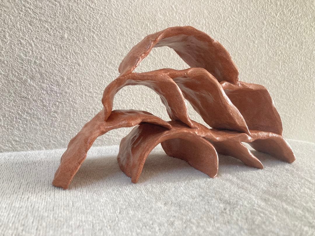 熱帯魚　アクアリウム　シェルター