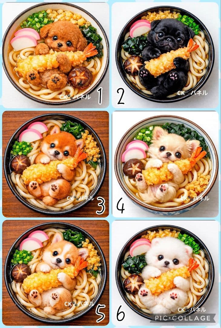【3月】tamago