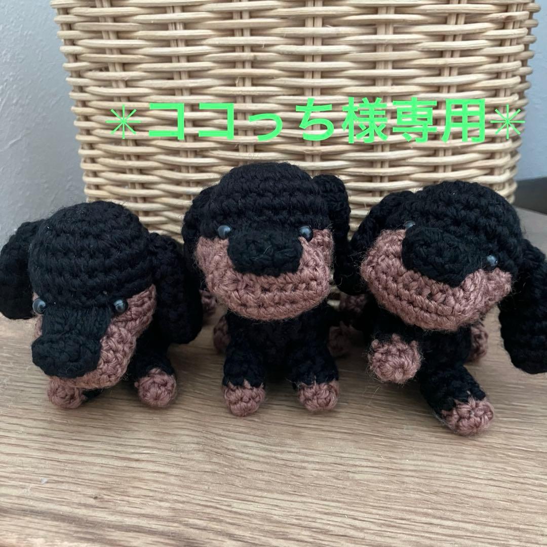 ココっち✳︎