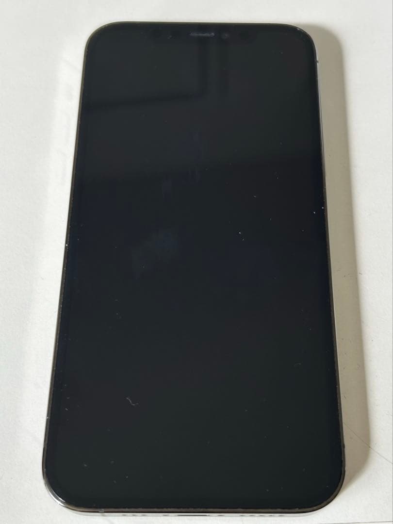 Apple iPhone 12Pro 本体