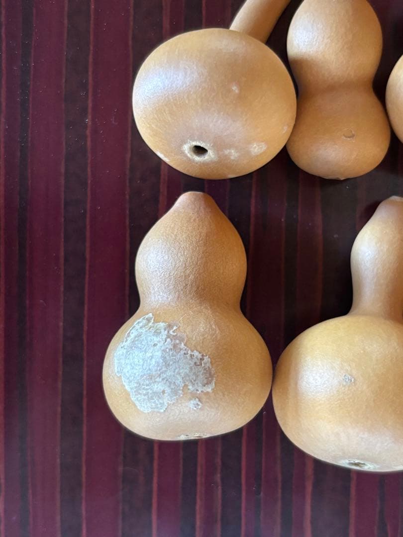 ミニ素ひょうたん　まとめ売り