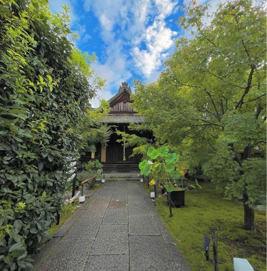 勝林寺♡新作／数量限定／御朱印帳／御朱印ホルダー／ファイル式／ピンク／１冊限り