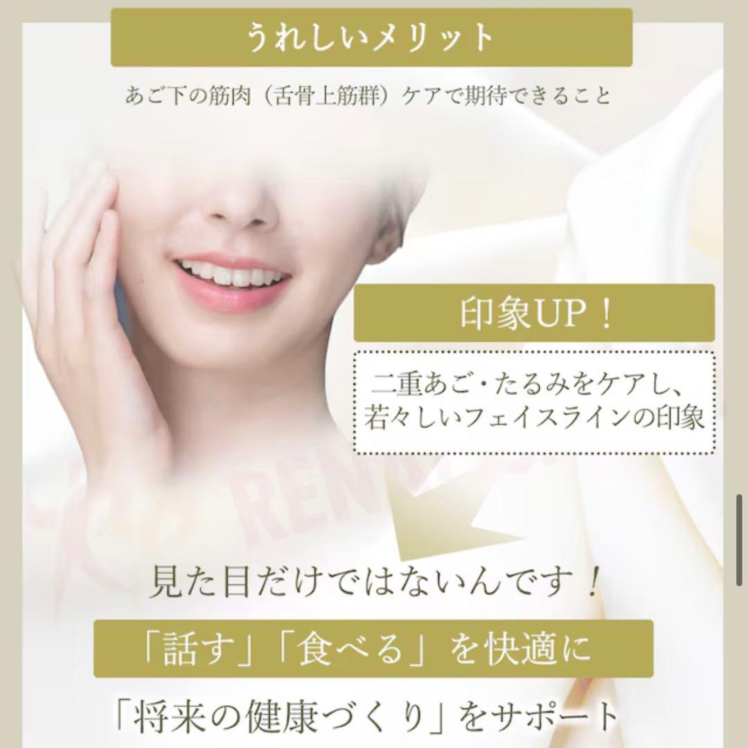 スタイリーフェイス　家庭用運動器具 EMS スポーツクラブ ルネサンス開発