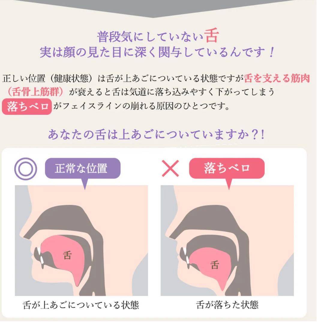 スタイリーフェイス　家庭用運動器具 EMS スポーツクラブ ルネサンス開発