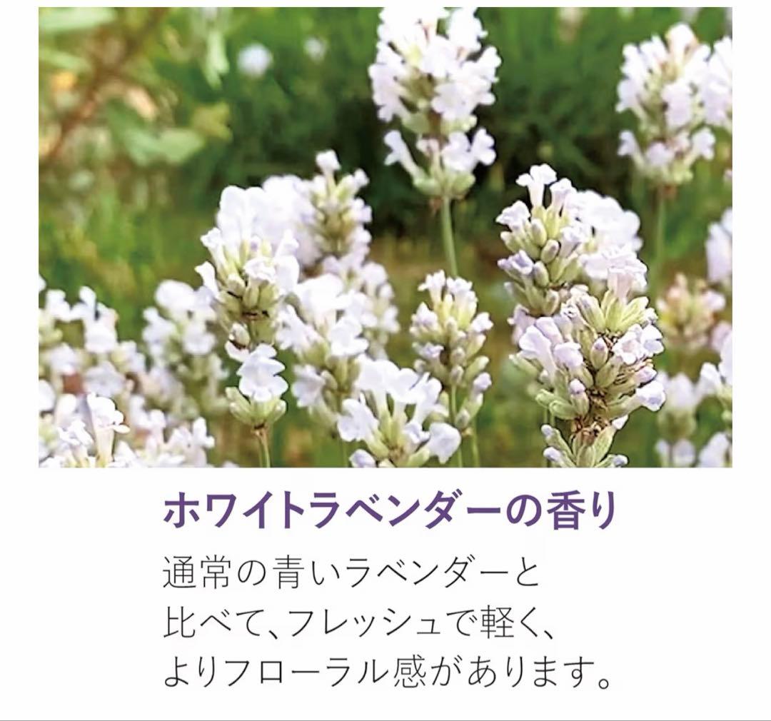 L'OCCITANE ホワイトラベンダー オードトワレ 50ml