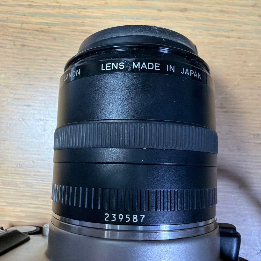 Canon EOS 単焦点マクロレンズEF50mm F2.5 コンパクトマクロ