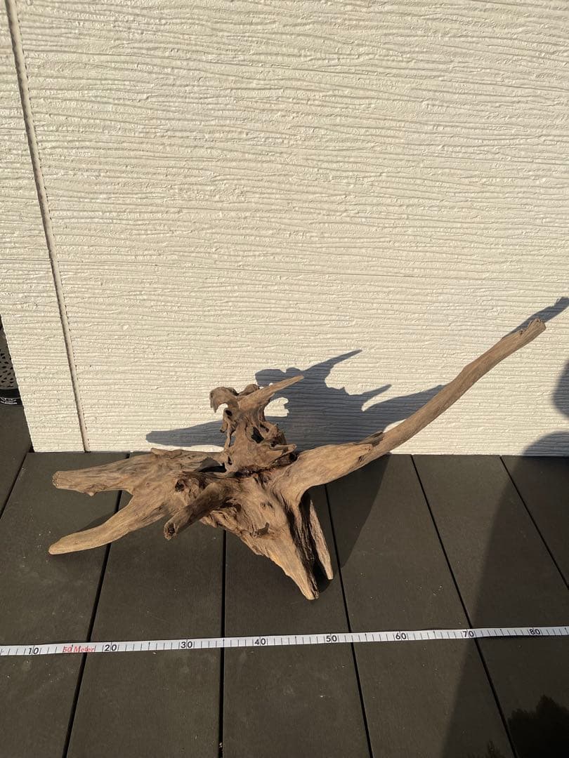 徳*ん様 水槽用大型流木 約80cm 高さ30cm自然な形状
