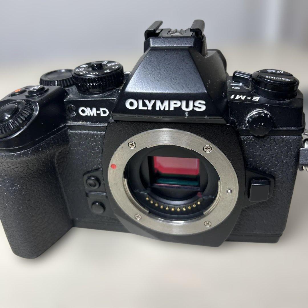 極美品✨OLYMPUS OM-D E-M1 オリンパス ミラーレス一眼ボディ
