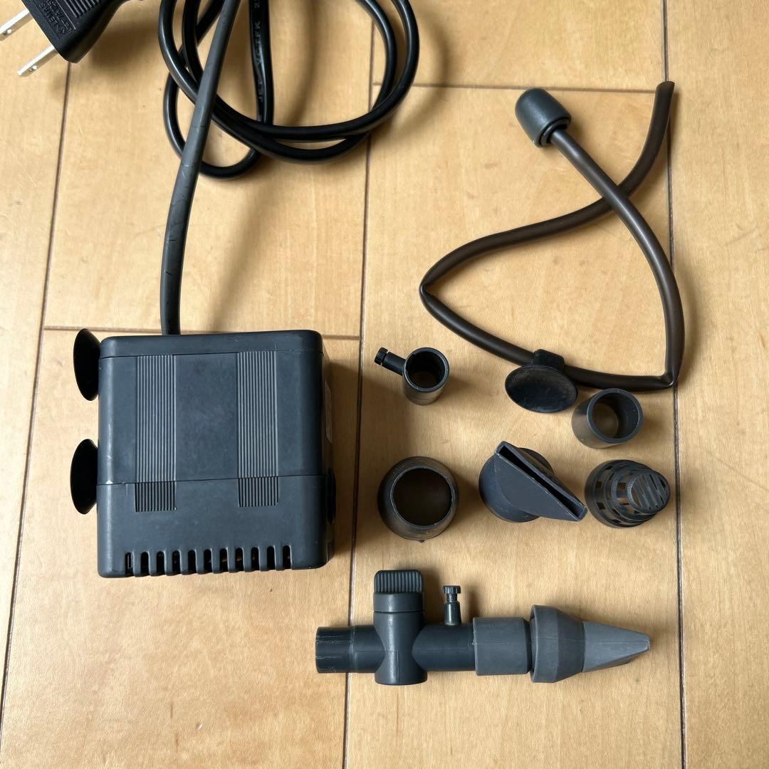 小型プレコ飼育セット